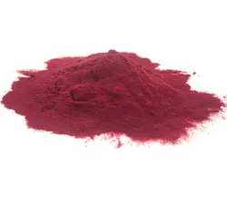 Elderberry Spray Dried Powder